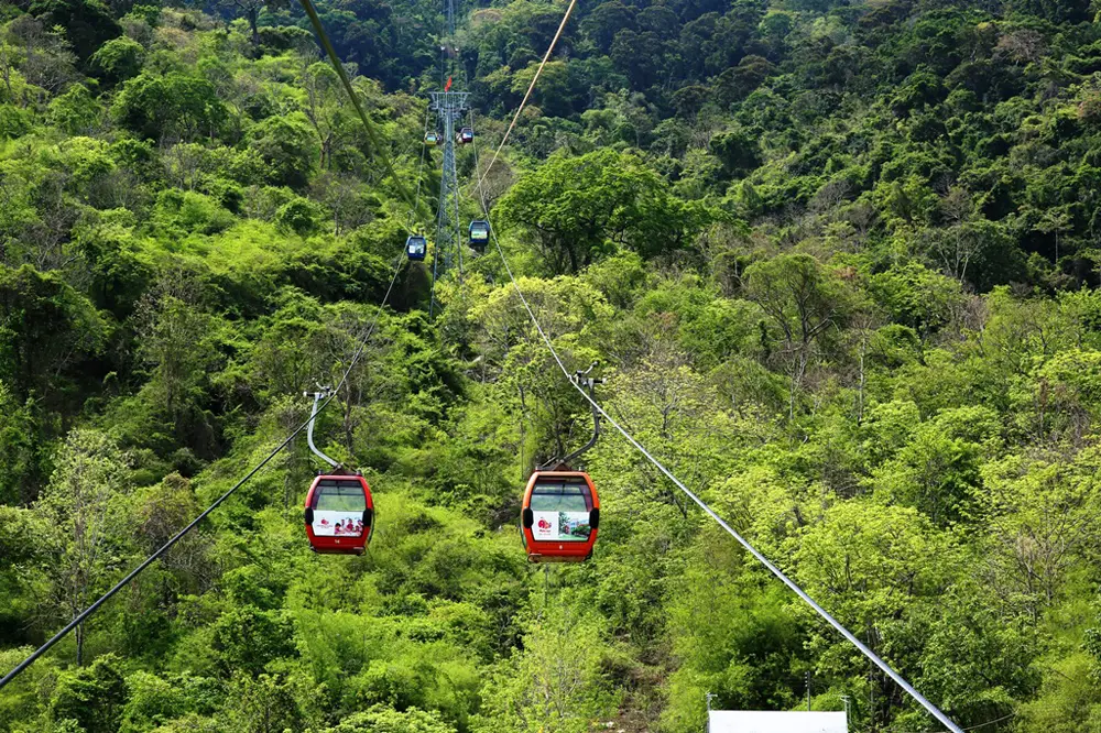 Hệ thống cáp treo