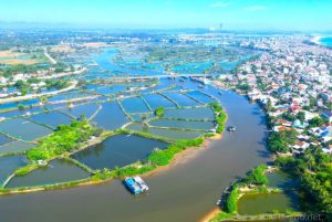 Phối cảnh tổng thể dự án Coastal Quảng Ngãi tại Nghĩa Hòa