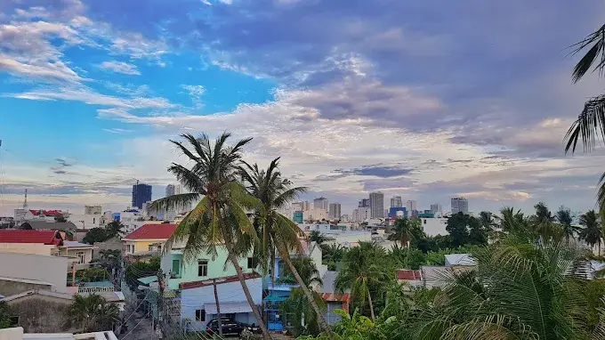 View thành phố từ Hẻm 85 Homestay với hàng dừa xanh, nhà mái tôn và bầu trời trong xanh rực nắng